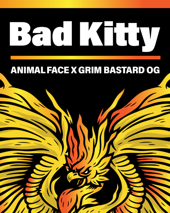 Bad Kitty