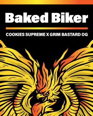 Baked Biker