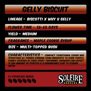 gelly-biscuit.jpg