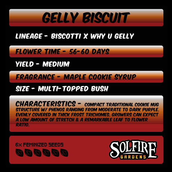 Gelly Biscuit - Half Pack