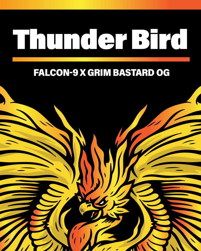Thunder Bird