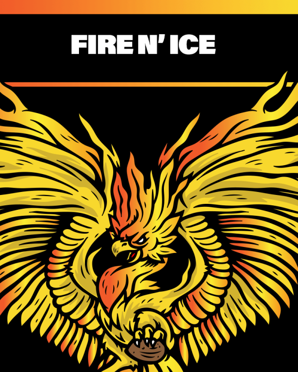 Fire n' Ice Auction