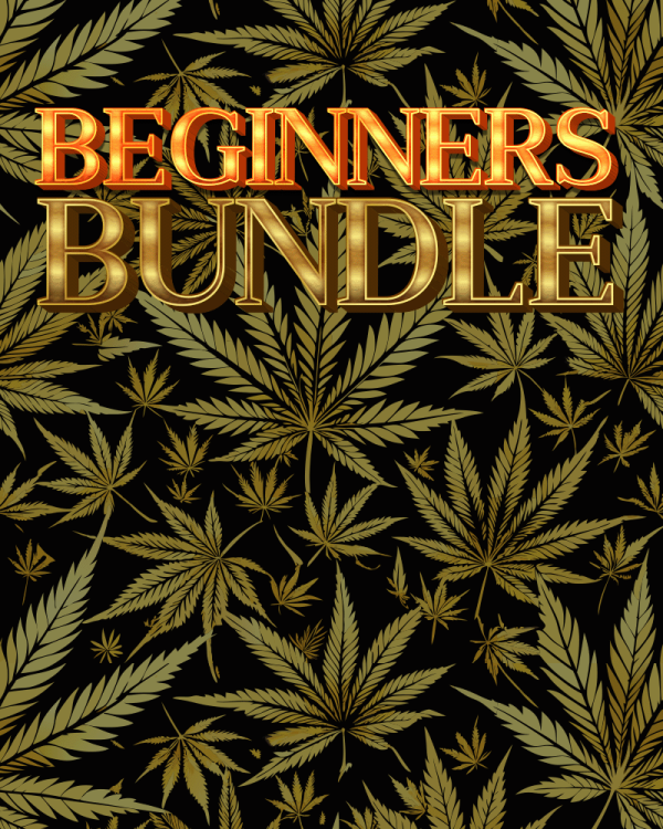 Beginners Bundle