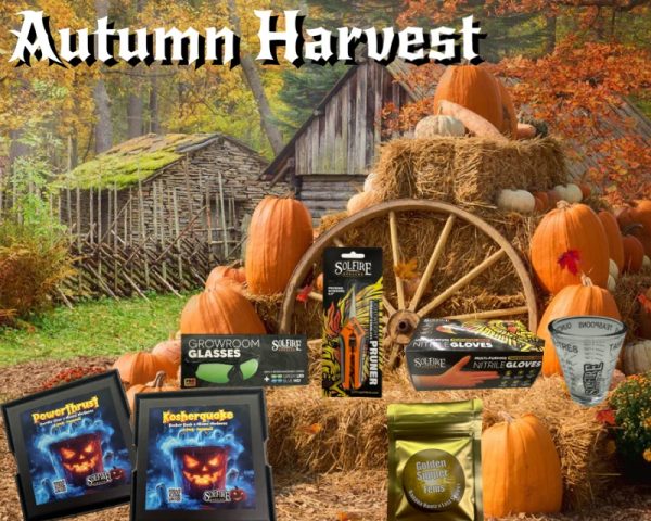 Autumn Harvest