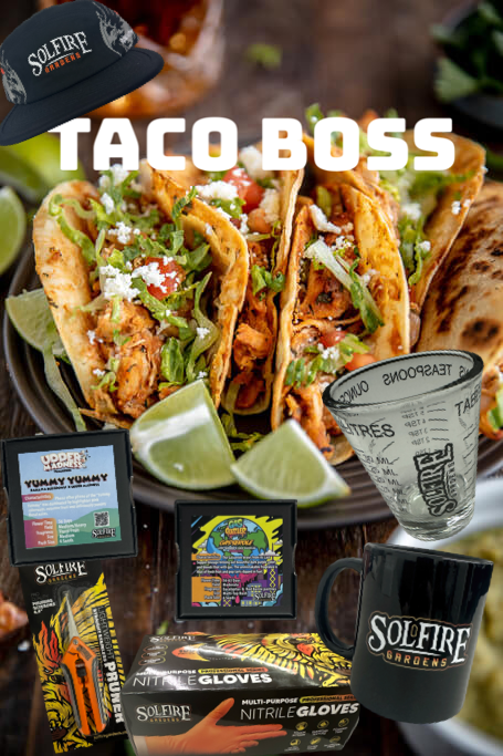 Taco Boss