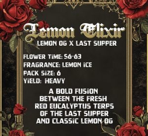 LemonElixirBack-1