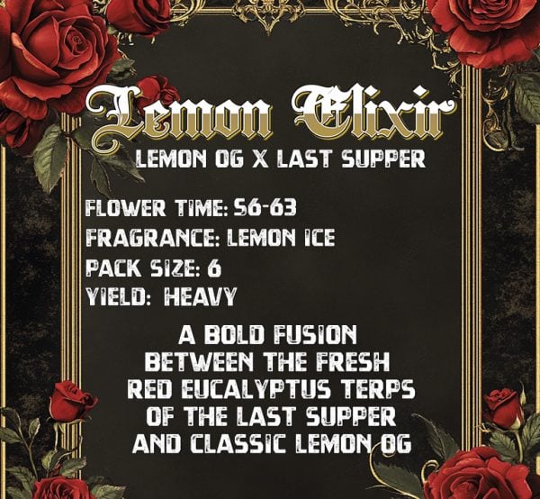 Lemon Elixir