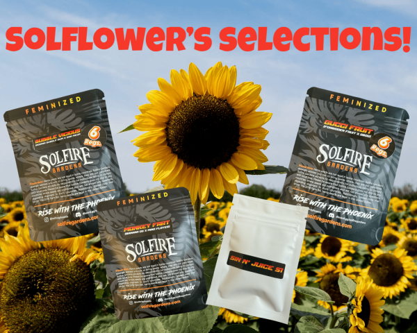 Solflower's Selections