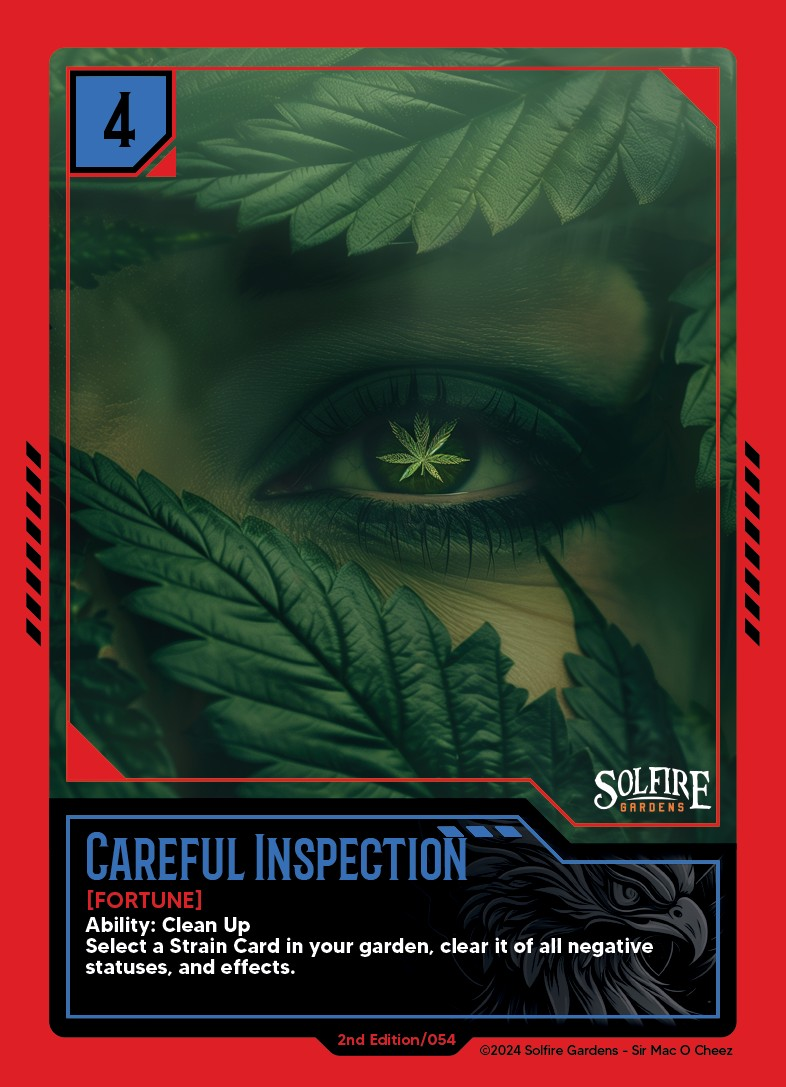 Careful-Inspection