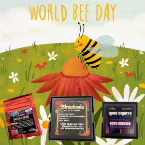 World Bee Day