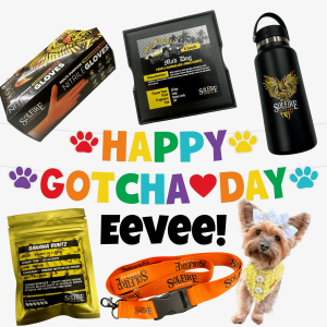 Happy Gotcha Day Eevee
