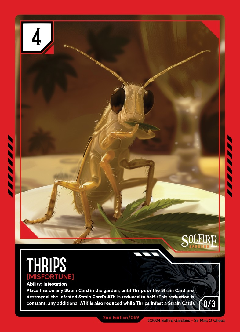 Thrips