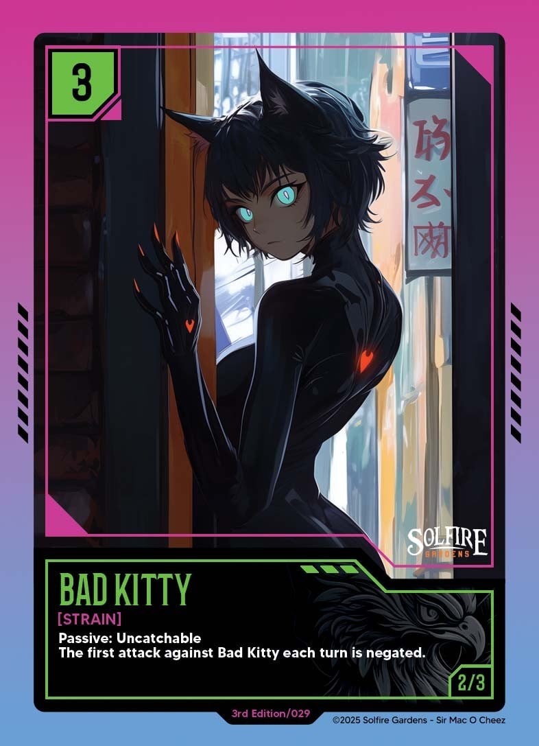 bad_kitty