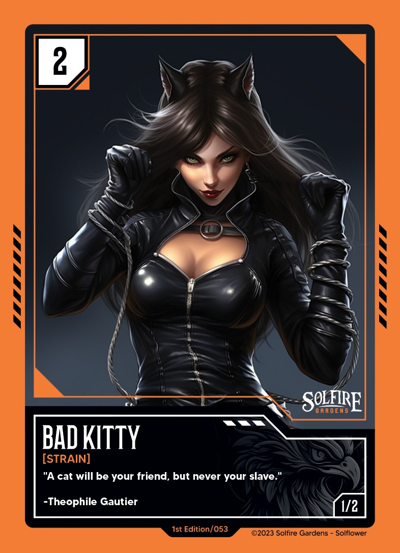 bad_kitty