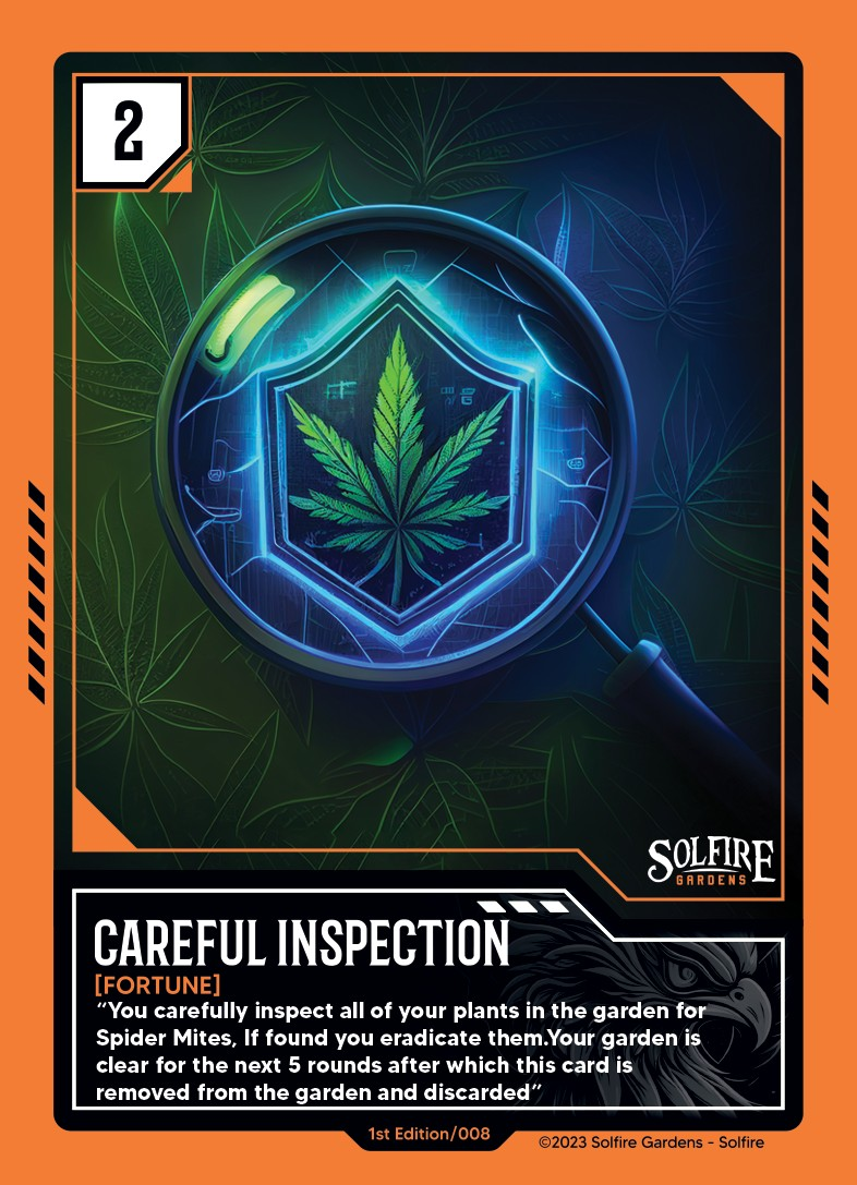 careful_inspection
