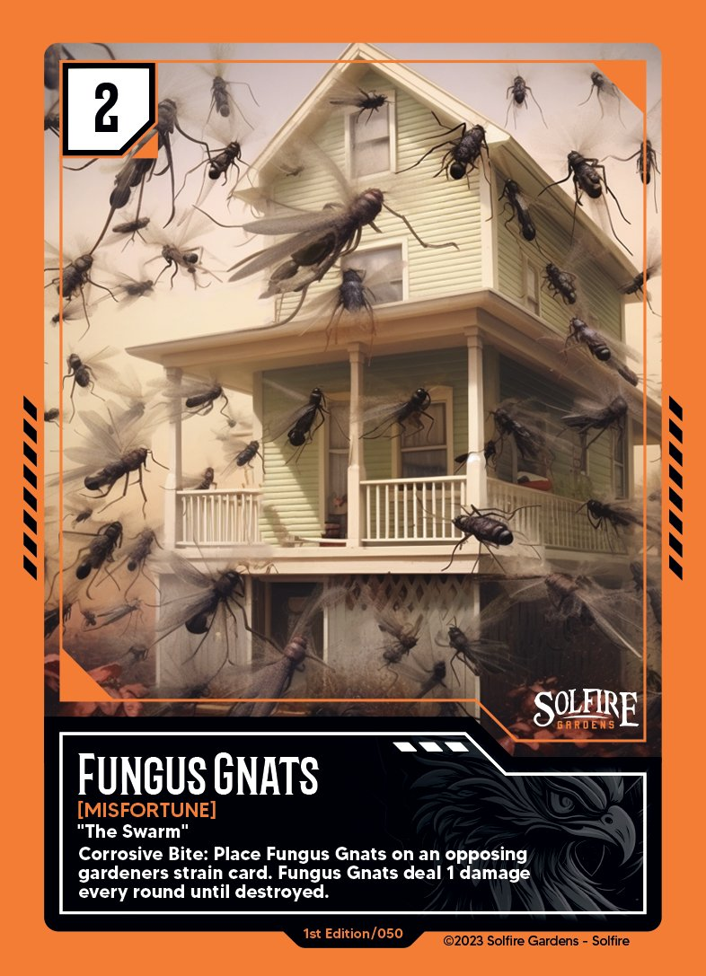 fungus_gnats