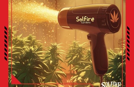 pollen_chucker
