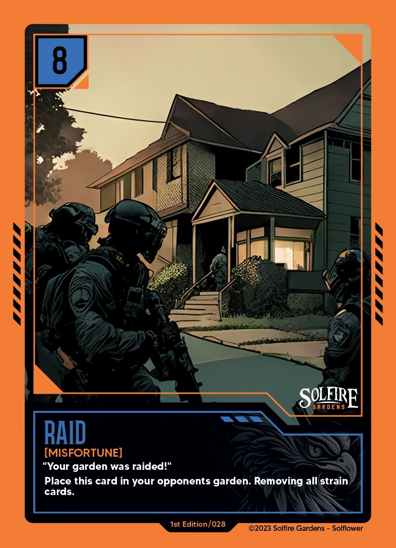 raid