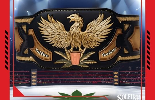 solo_cup_belt