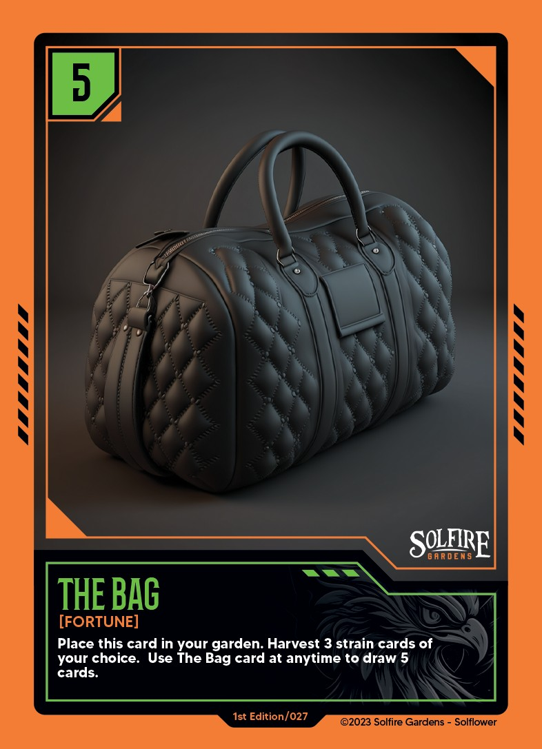 the_bag