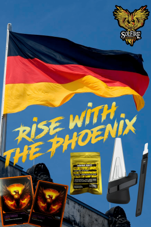 Rise with the Phoenix