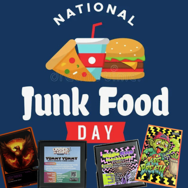 National Junk Food Day