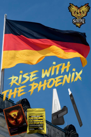 Rise with the Phoenix