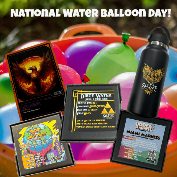 National Water Balloon Day