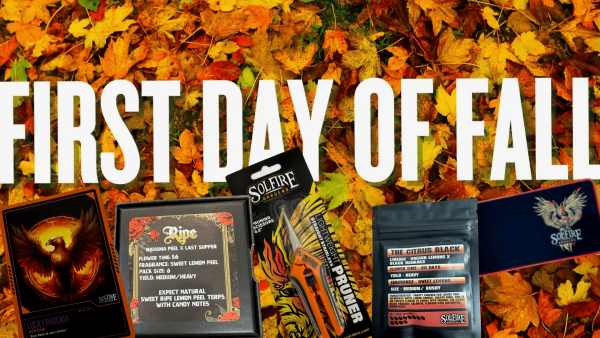 First Day of Fall