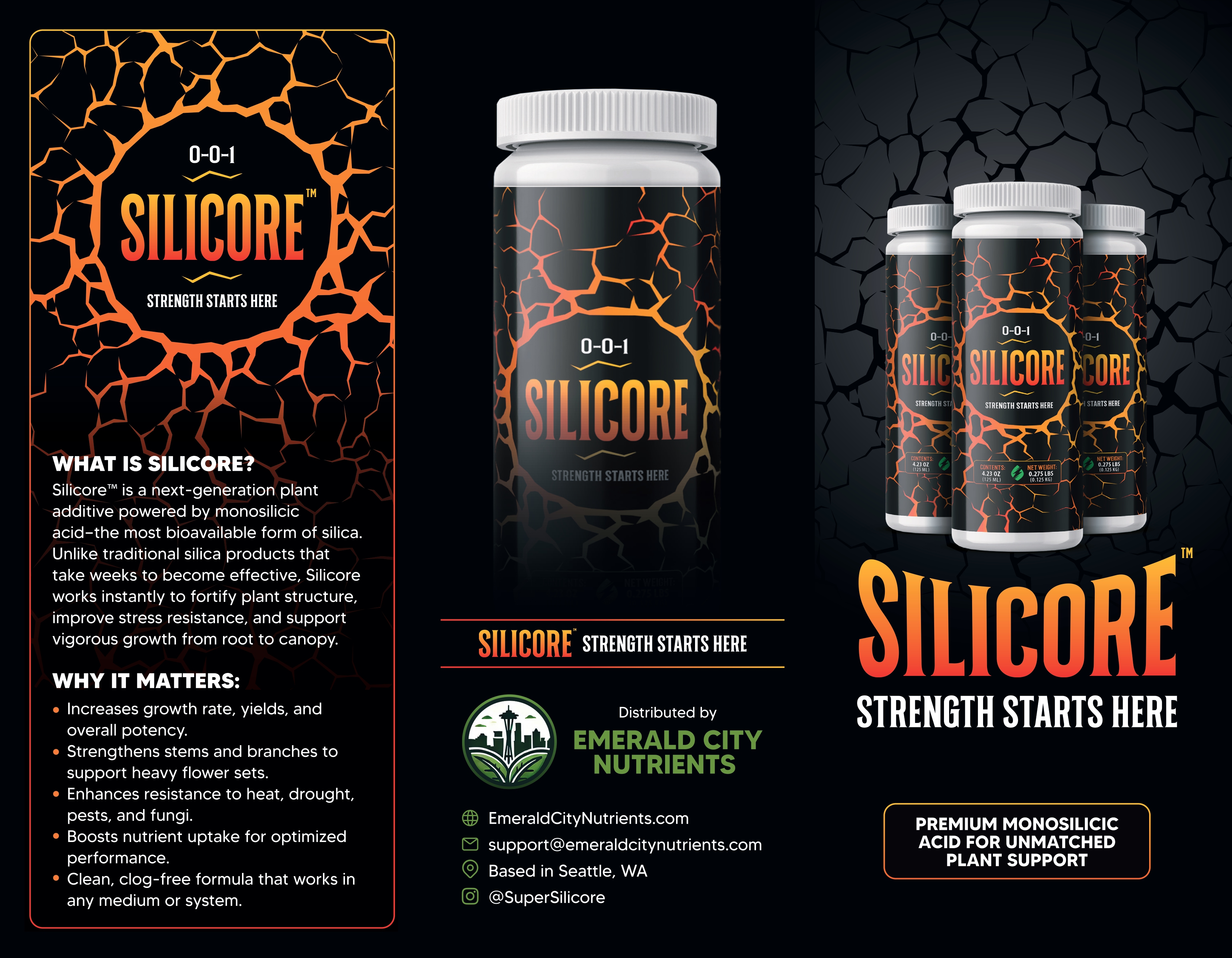 SILICORE Tri-Fold Brochure (PRINT)_page-0001