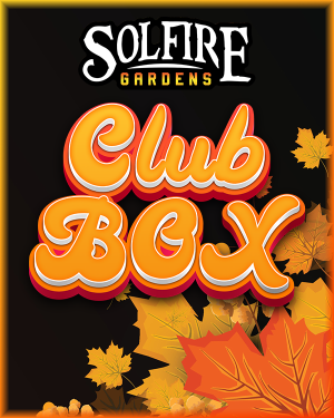 Club Box