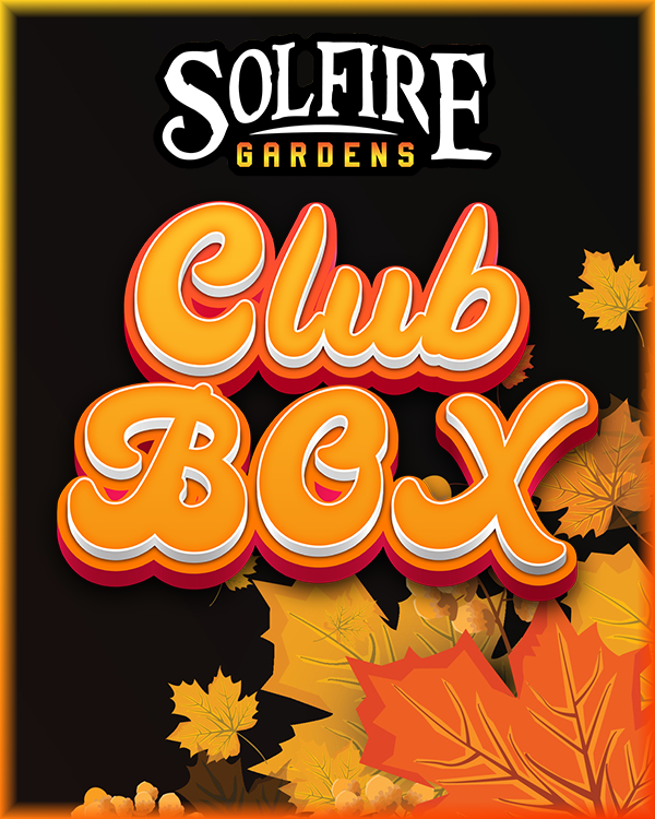 Club Box