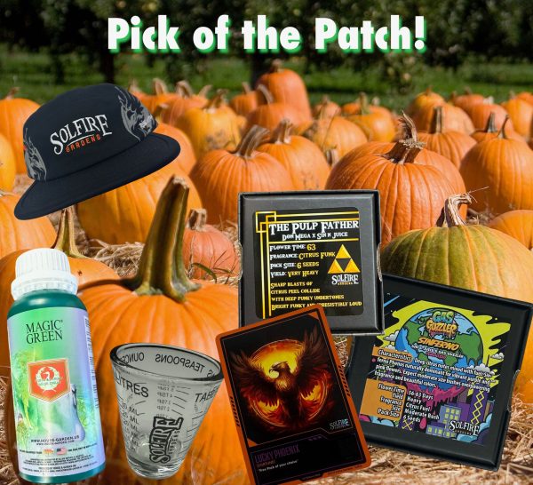 Pick of the Patch