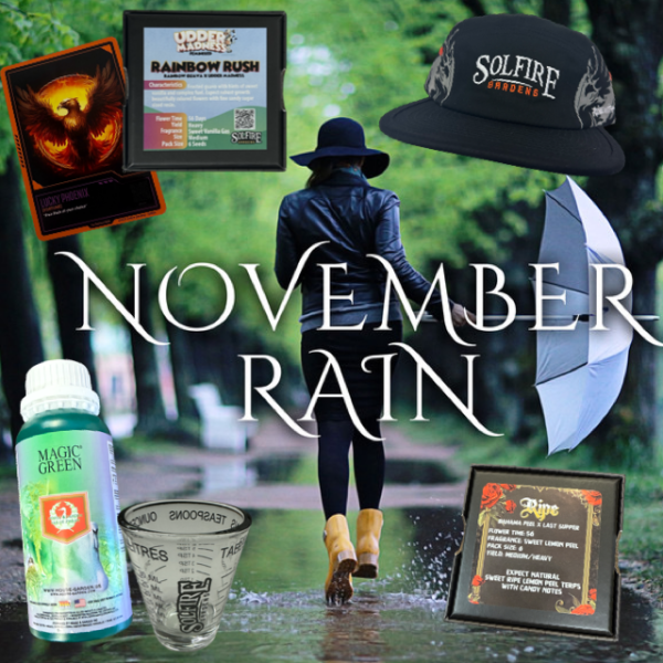 November Rain