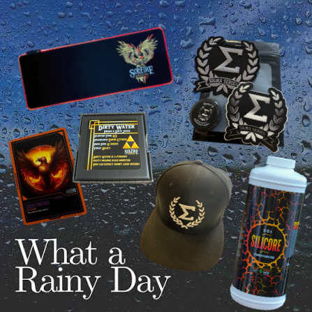 What a Rainy Day