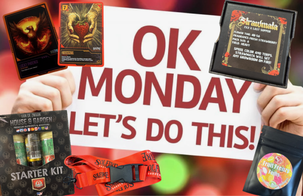 Ok Monday Let's Do This