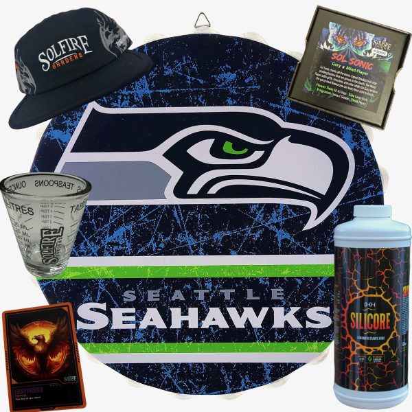 Seattle SeaHawks