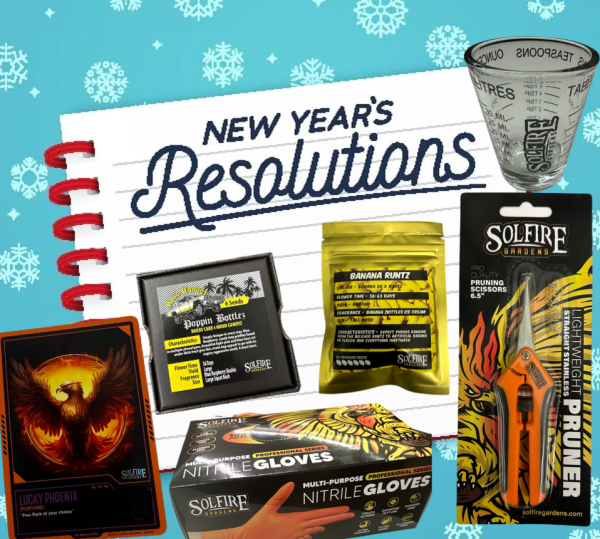 New Year's Resolution